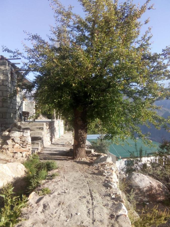 Venus Resort Hunza Karimabad  Exterior foto